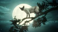 Click to watch 'Dream of a Thousand Cats...' (popup) The Sandman